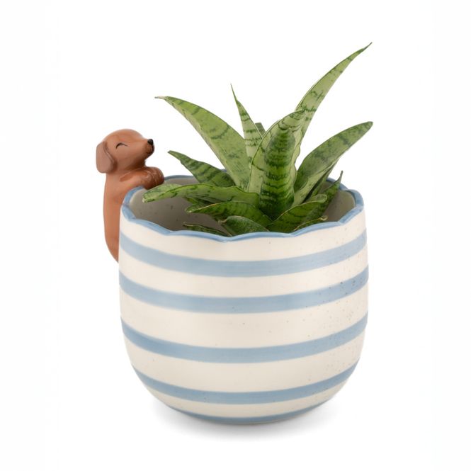 Hovedbilde BLOMSTERPOTTE – Dachshund på kanten – Sass & ...