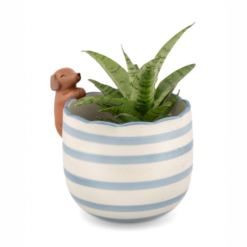 BLOMSTERPOTTE – Dachshund på kanten – Sass & Belle