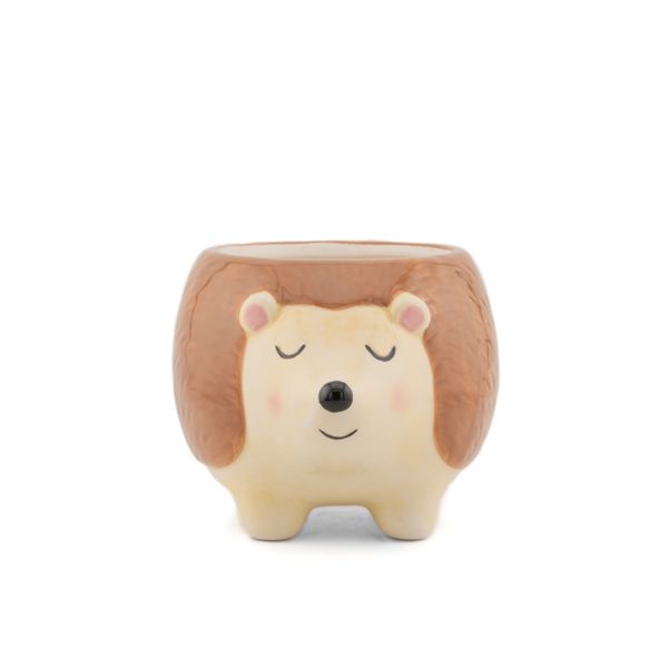 Hovedbilde BLOMSTERPOTTE – Pinnsvin – Sass & Belle