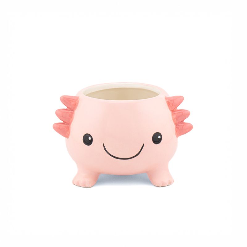 LITEN BLOMSTERPOTTE – Axolotl – Sass & Belle