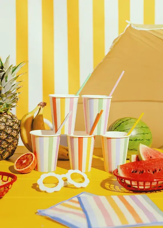 PAPPKRUS – Regnbuestriper – 6 pk – PartyDeco