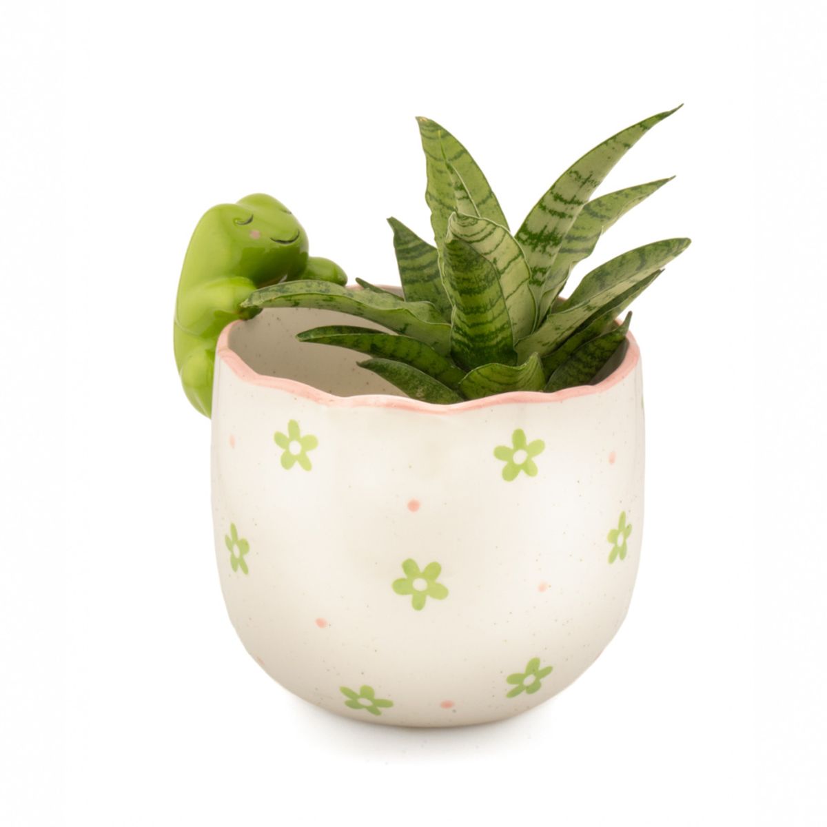 BLOMSTERPOTTE – Frosk på kanten – Sass & Belle