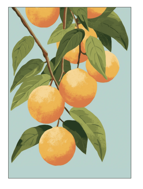 Hovedbilde PLAKAT - Citrus 2 - 30 X 40 cm.  - Atelier Imaginare